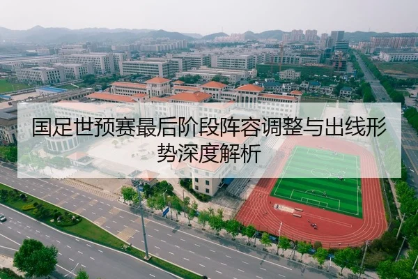 国足世预赛最后阶段阵容调整与出线形势深度解析
